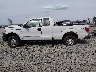 1FTFX1EFXDK****** Salvamento 2013 Ford F-150