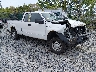 1FTFX1EFXDK****** Salvamento y Destrozados 2013 Ford F-150 en Shady Spring