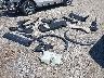 5UXCR6C05M9****** Wrecked 2021 BMW X5 in Maryland State