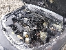 4S3GKAB60N3****** Salvage and Repairable 2022 Subaru Impreza in Oregon State