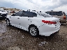 5XXGU4L39GG****** Salvamento y Reparables 2016 Kia Optima en Wichita
