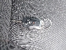 1FTEW1E48LF****** Salvamento 2020 Ford F-150 en Estado de Kentucky