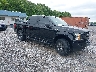 1FTEW1E48LF****** Salvamento y Destrozados 2020 Ford F-150 en Paducah
