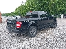 1FTEW1E48LF****** Salvamento y Destrozados 2020 Ford F-150 en Estado de Kentucky