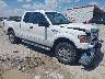 1FTFX1EF1DF****** Salvamento y Destrozados 2013 Ford F-150 en Saint Louis
