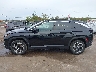5NMJFCAEXPH****** Salvamento 2023 Hyundai Tucson