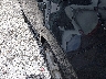 KNDJP3A53F7****** Salvage and Repairable 2015 Kia Soul in Arkansas State