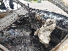 5TDDRKEC3NS****** Usados y Reparables 2022 Toyota Sienna en Estado de Hawaii