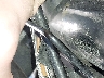 JKAEXMJ15CD****** Repairable 2012 Kawasaki Ninja 250R in Rec Rides Online Exclusive