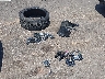 WAUCNCF59JA****** Wrecked 2018 Audi A5 in Mississippi State