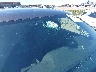1C4RJFAG8KC****** Salvamento y Reparables 2019 Jeep Grand Cherokee en Estado de Minnesota