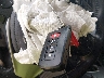 JTMRJREV5HD****** Salvage 2017 Toyota RAV4 Hybrid in Nebraska State