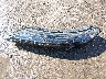 JA4J4TA89NZ****** Wrecked 2022 Mitsubishi Outlander in Kansas State