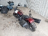 56KDSDBH5S3****** Salvamento y Reparables 2025 Indian Sport Chief en Austin