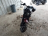 56KDSDBH5S3****** Usados y Reparables 2025 Indian Sport Chief en Estado de Texas