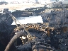 2G1FA1E31E9****** Salvamento 2014 Chevrolet Camaro en Indianapolis