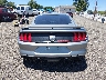 1FA6P8CF8M5****** Used 2021 Ford Mustang