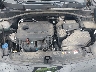 KNDPN3AC4L7****** Repairable 2020 Kia Sportage in Raleigh