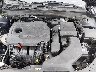 5XXGT4L32HG****** Repairable 2017 Kia Optima in Austin