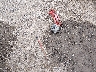 5XXGM4A73CG****** Wrecked 2012 Kia Optima in Louisiana State