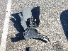 KMHLL4DG8RU****** Wrecked 2024 Hyundai Elantra in North Carolina State