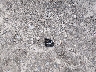 5UX43DP08P9****** Wrecked 2023 BMW X3 in Georgia State
