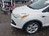 1FMCU0J98FU****** Salvage and Wrecked 2015 Ford Escape in Little Rock