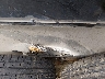 5WFBE1220SB****** Wrecked 2025 Alcom Alcom LLC in Oregon State