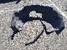KL4CJ2SM7GB****** Wrecked 2016 Buick Encore in Nevada State