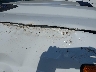1GC0ALE75SF****** Salvage and Repairable 2025 Chevrolet Silverado 2500 HD in Specialty Division