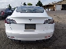 5YJ3E1EB7KF****** Wrecked 2019 Tesla Model 3
