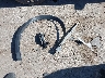 JM3KFADM9L1****** Wrecked 2020 Mazda CX-5 in Oklahoma State