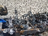 1FT8W3BM7PE****** Used and Repairable 2023 Ford F-350 in Kansas State