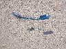 3FTCW8TA5SR****** Destrozados 2025 Ford Maverick en Estado de Texas