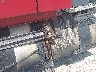 4V4NC9EJ8HN****** Salvage and Wrecked 2017 Volvo VNL in Specialty Division