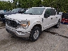 1FTFW1E54MK****** Used and Repairable 2021 Ford F-150 in Kansas City