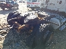 3AKBGDBG4GD****** Salvamento y Destrozados 2016 Freightliner Cascadia 125 en Raleigh