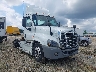 3AKBGDBG4GD****** Salvamento y Destrozados 2016 Freightliner Cascadia 125 en Raleigh