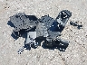 3GCPWCED7LG****** Salvage 2020 Chevrolet Silverado 1500 in California State