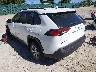 2T3G1RFV8KW****** Salvamento y Reparables 2019 Toyota RAV4 en Louisville North