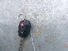 2T3WFREV5FW****** Salvamento 2015 Toyota RAV4 en Estado de New Hampshire