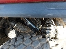 LCELE1ZF9TM****** Usados 2026 CF Moto UFORCE en Rec Rides Online Exclusive
