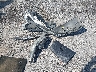 1G1PA5SH0F7****** Wrecked 2015 Chevrolet Cruze in Oklahoma State