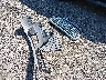 WAURGAFD9EN****** Wrecked 2014 Audi A8 L in Virginia State