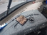 1FUJGLDR8JL****** Salvamento 2018 Freightliner Cascadia 125 en Estado de Florida