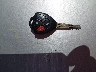 JTMBK33V976****** Salvamento 2007 Toyota RAV4 en Estado de Missouri