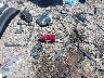 1GNSKHKC8HR****** Used and Repairable 2017 Chevrolet Suburban in Tulsa
