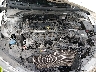 5NPD74LF4KH****** Repairable 2019 Hyundai Elantra in Billings