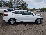 5NPD74LF4KH****** Repairable 2019 Hyundai Elantra in Montana State