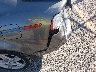 19UUA66215A****** Wrecked 2005 Acura TL in Kentucky State